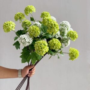 Flowers Hydrangeas Snowballs Small Home Furnishings